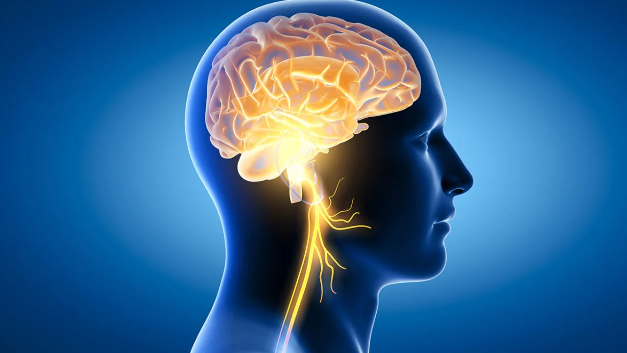 Omega-3 Fish Oil Supplements May Help Reduce Anger and Irritability